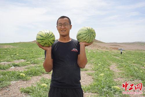 中卫富硒农产品(中农硒科富硒研究院)-硒宝网