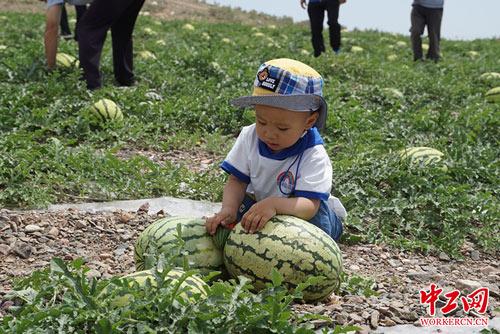 中卫富硒农产品(中农硒科富硒研究院)-硒宝网
