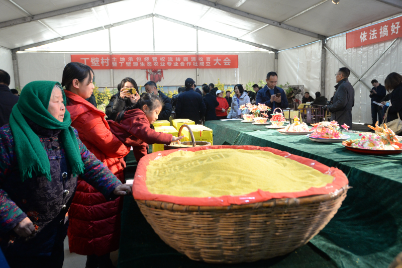 富硒农产品优势(富硒农业)-硒宝网