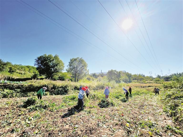 富硒农产品报告（富硒农业）-硒宝网