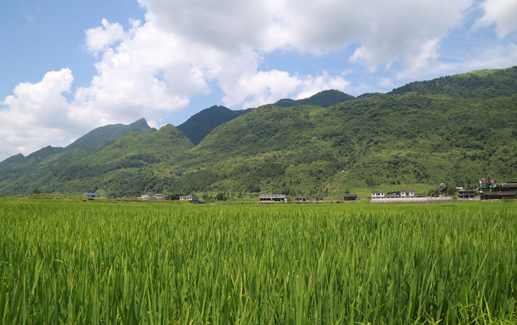 天门富硒农产品(仙桃富硒农产品)-硒宝网