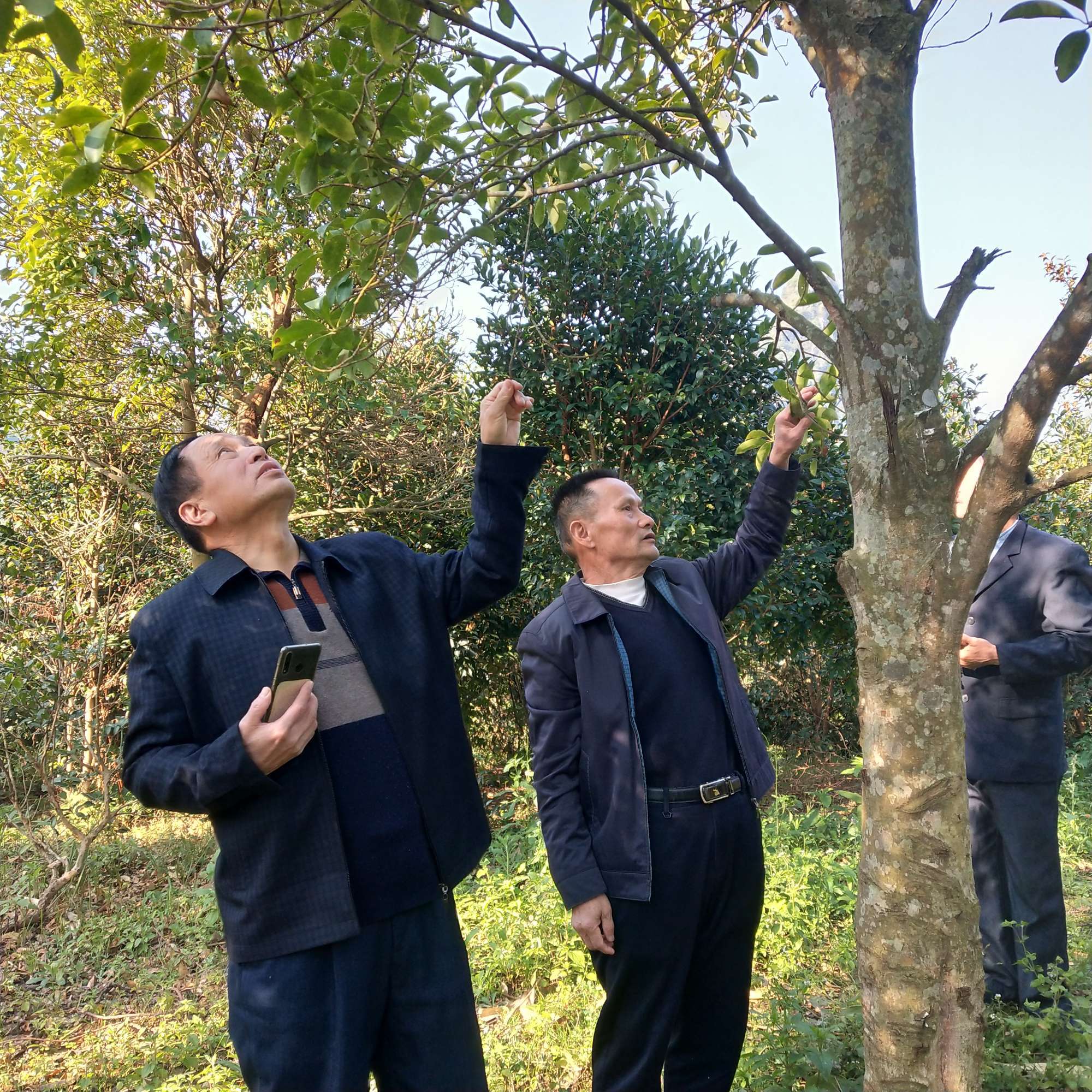 天门富硒农产品(仙桃富硒农产品)-硒宝网