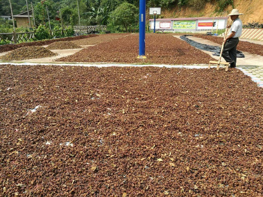 天门富硒农产品(仙桃富硒农产品)-硒宝网