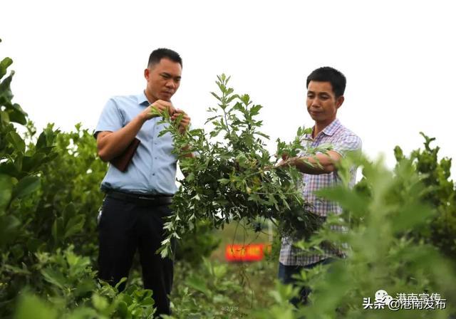 天门富硒农产品（天门富硒大米）-硒宝网