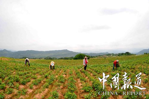 天门富硒农产品（天门富硒大米）-硒宝网