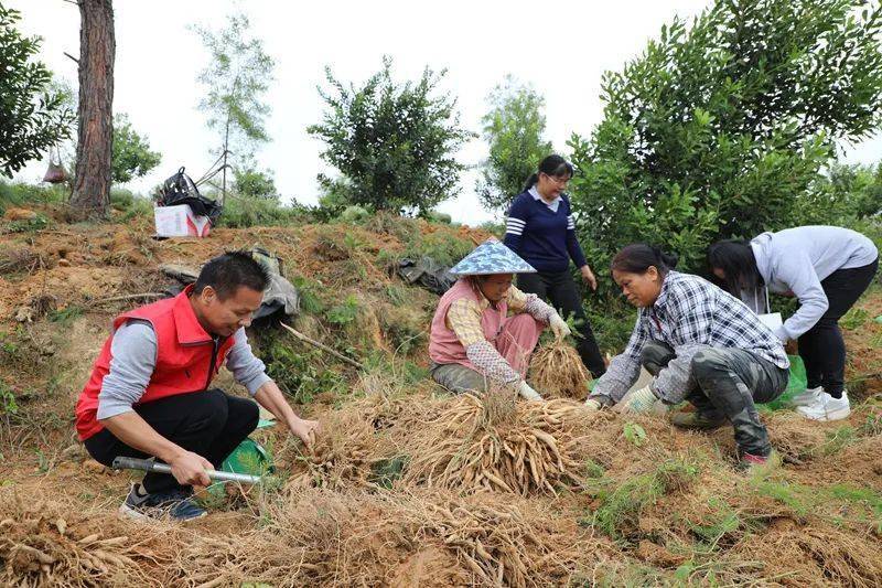 天门富硒农产品（天门富硒大米）-硒宝网