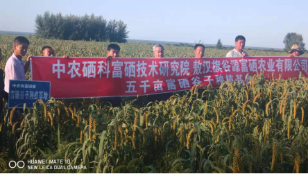 海伦富硒农产品（海伦富硒大米好不好）-硒宝网