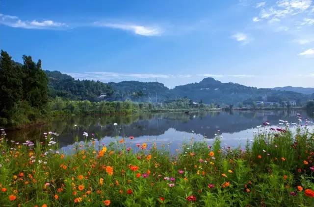 张店富硒农产品(富硒农场产品)-硒宝网