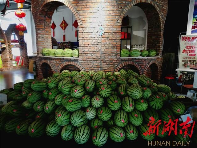 中卫富硒农产品(中农富硒科技有限公司)-硒宝网