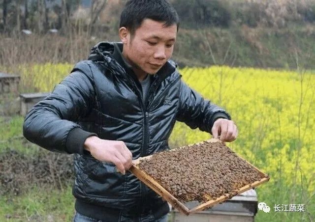 昆明富硒农产品(富硒农产品专卖店)-硒宝网