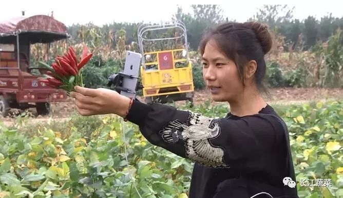 昆明富硒农产品(富硒农产品专卖店)-硒宝网