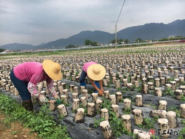 河北省富硒产品(河北富硒带)-硒宝网