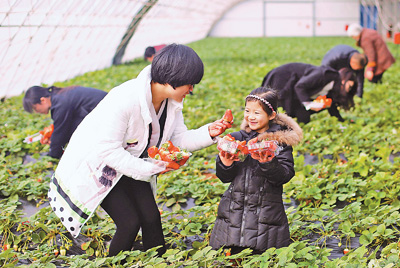 沽源富硒农产品(富硒农业)-硒宝网