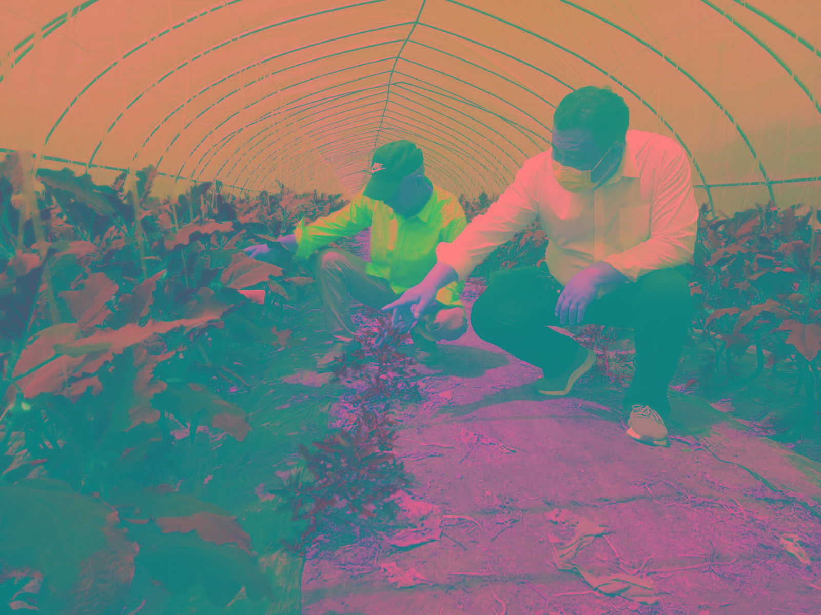 龙泉富硒农产品（农龙泉富硒产品有哪些）-硒宝网