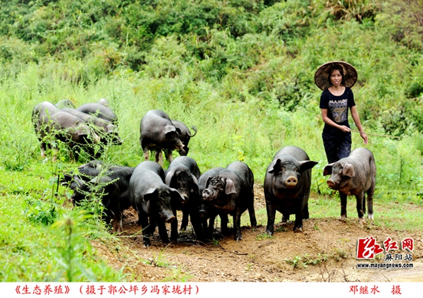昆明富硒农产品（云南富硒在哪里）-硒宝网