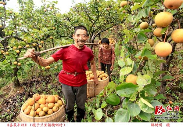 昆明富硒农产品（云南富硒在哪里）-硒宝网