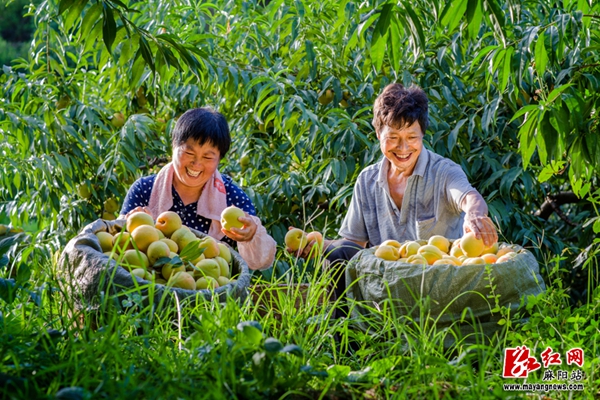 昆明富硒农产品（云南富硒在哪里）-硒宝网