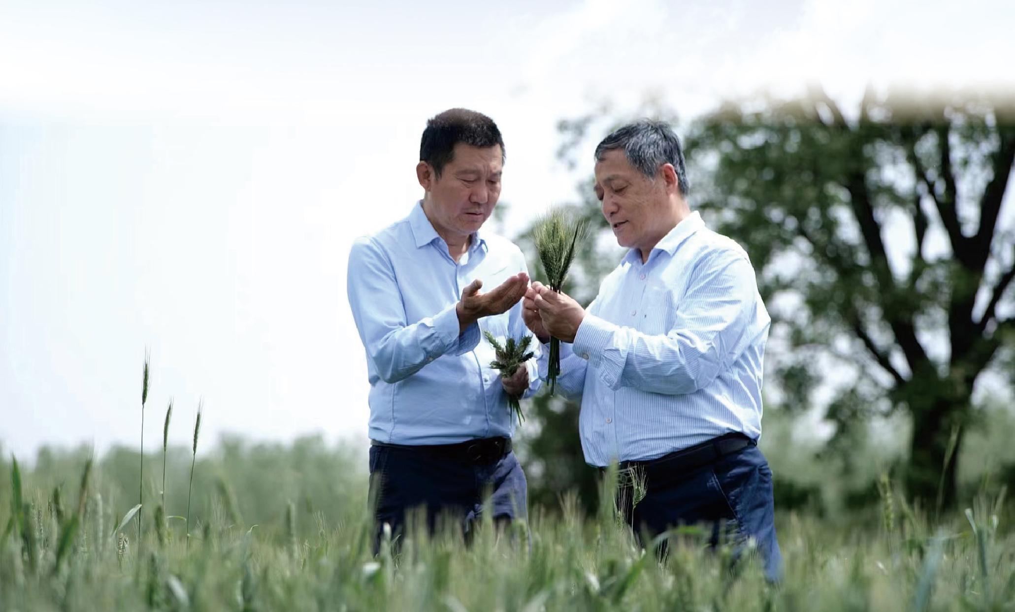 富硒农产品推广(富硒农品宣传语)-硒宝网