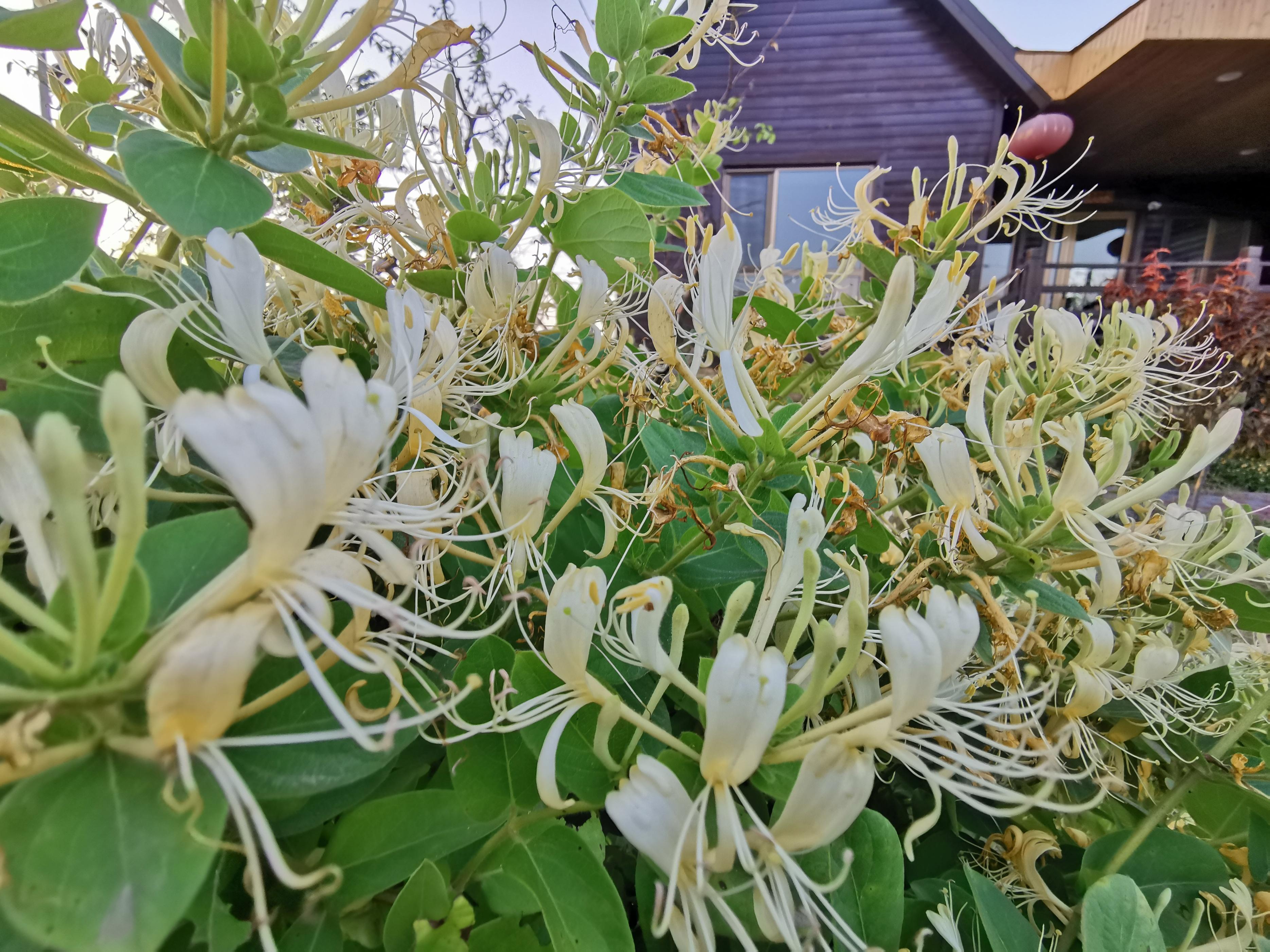 富硒农产品推广(富硒农品宣传语)-硒宝网