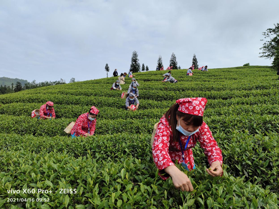 屏山县富硒产品（屏山富硒土地资源）-硒宝网