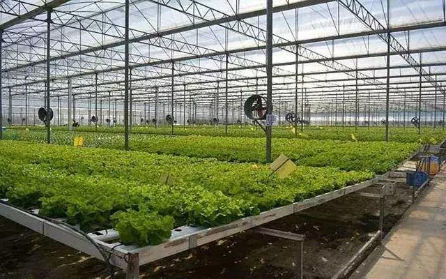 富硒农产品乱象（富硒农产品是什么意思）-硒宝网