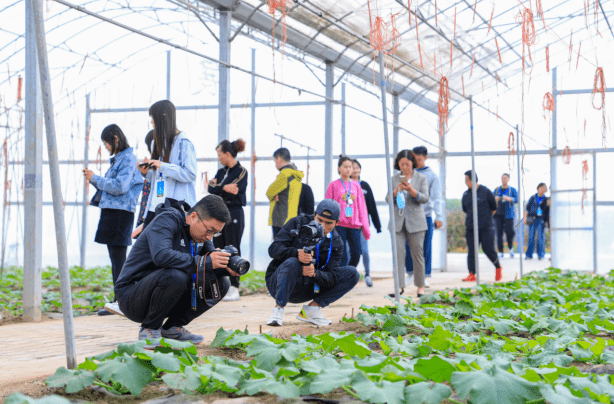 优质富硒农产品(富硒农产品销售平台)-硒宝网
