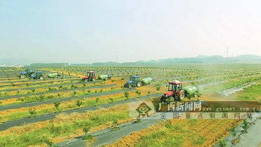 昭平县富硒产品(广平富硒)-硒宝网