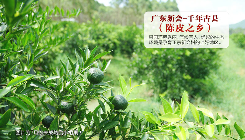 浦北富硒农产品（富硒农业网）-硒宝网