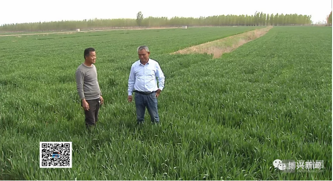 乔庄富硒农产品(富硒农场产品)-硒宝网