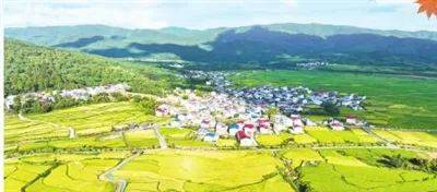 南昌富硒农产品(江西富硒蔬菜在哪里)-硒宝网