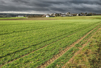优质富硒农产品(富硒农作物)-硒宝网
