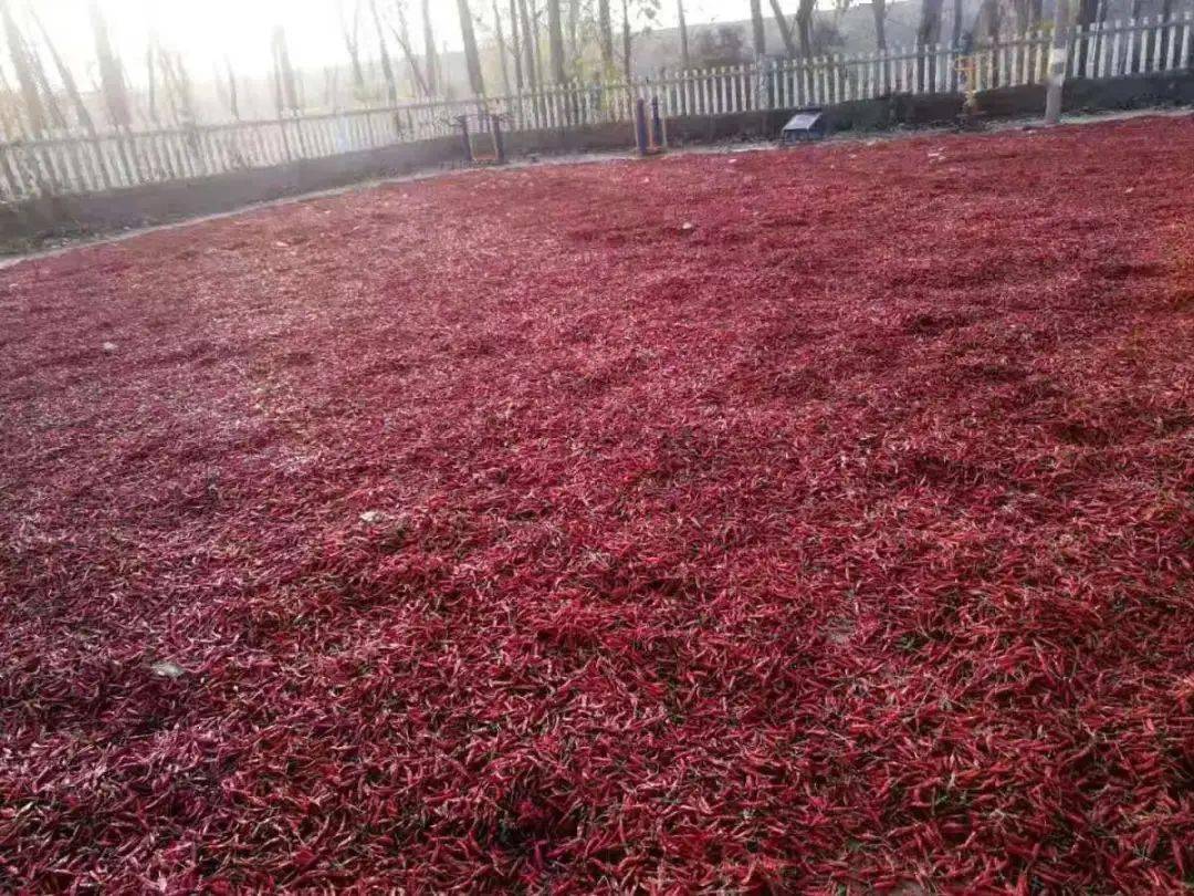 河南省富硒产品（河南省富硒农产品协会）-硒宝网