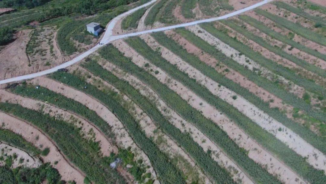 河南省富硒产品（河南省富硒农产品协会）-硒宝网