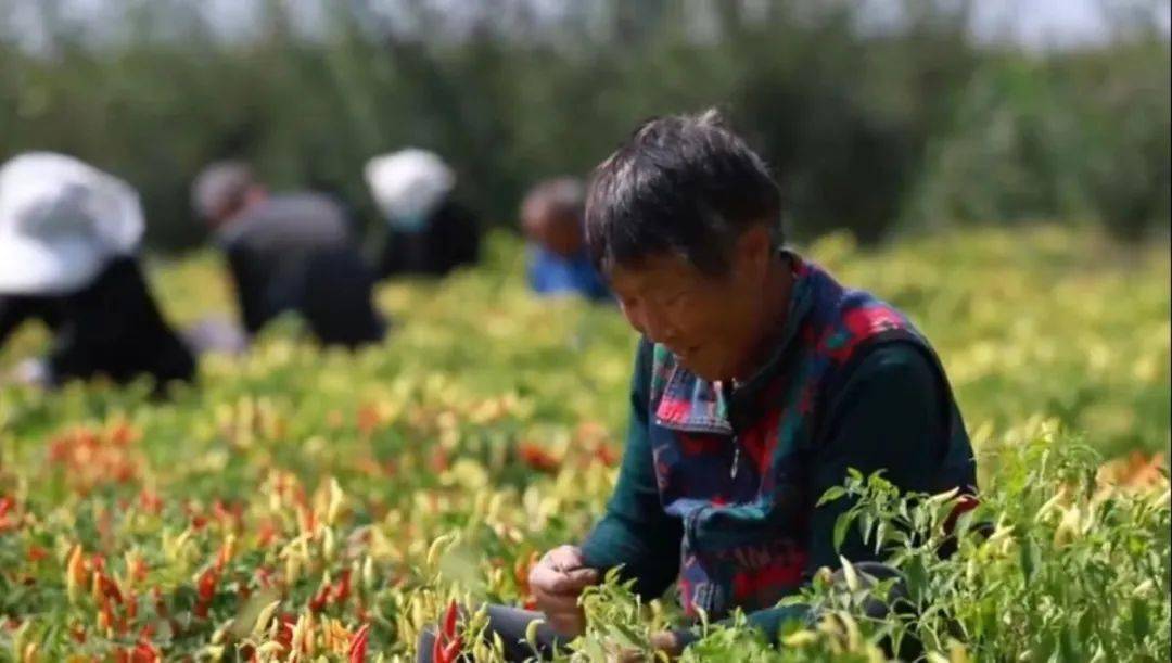 河南省富硒产品（河南省富硒农产品协会）-硒宝网