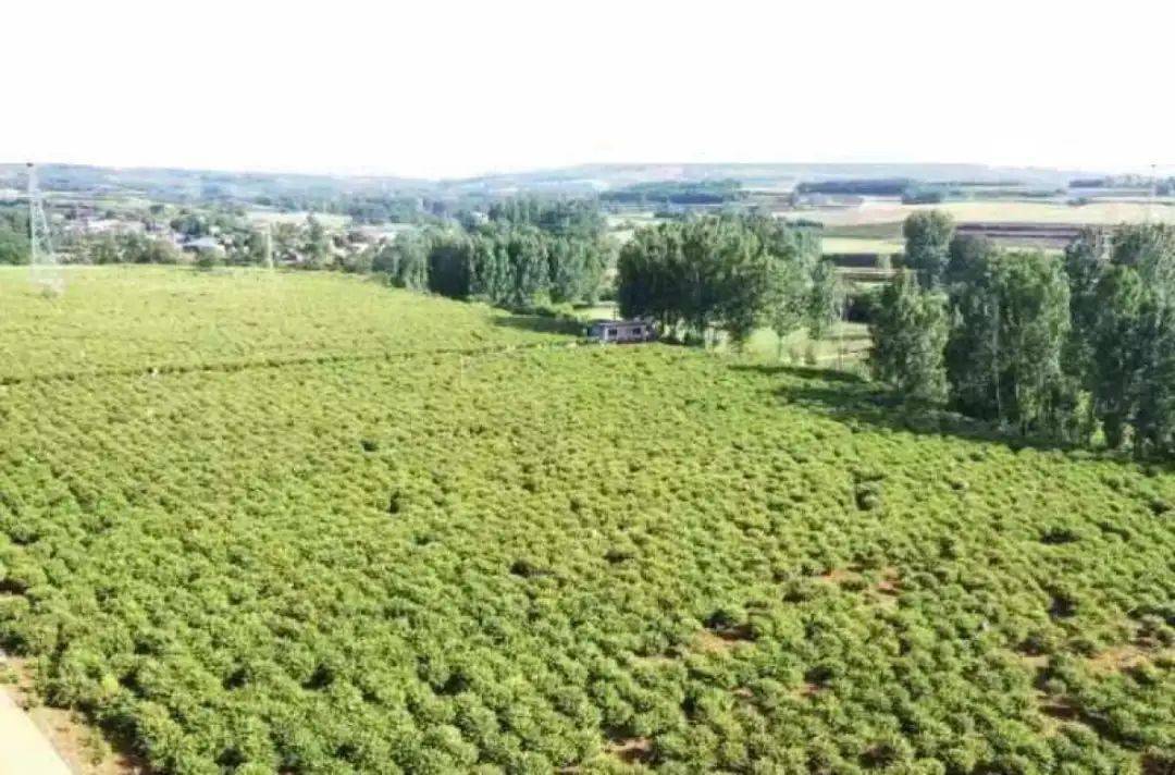 河南省富硒产品（河南省富硒农产品协会）-硒宝网