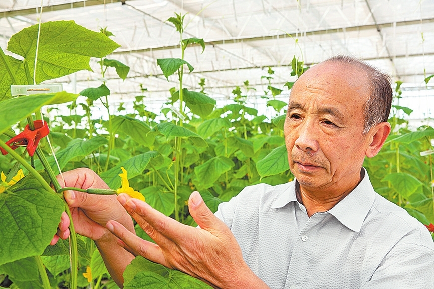 河南省富硒产品（河南富硒农业科技有限公司）-硒宝网