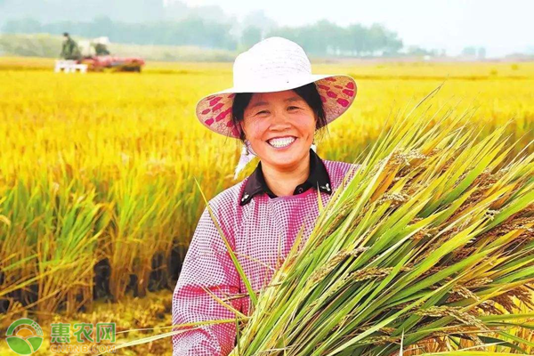 甘肃富硒农产品（甘肃富硒西瓜）-硒宝网