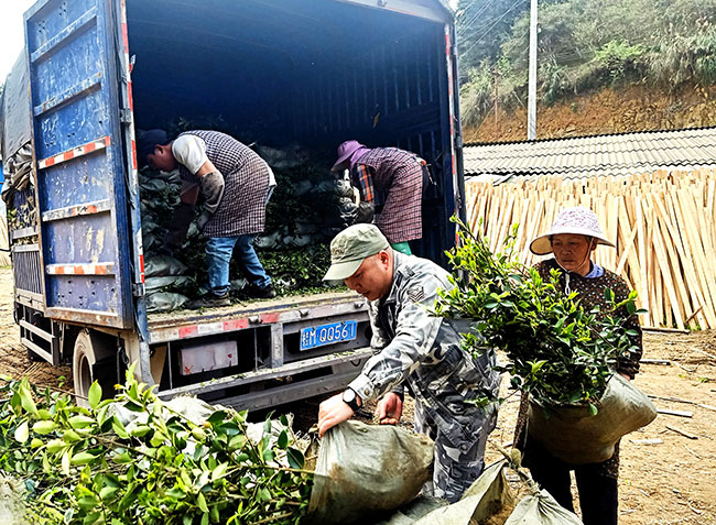 广西富硒林产品（广西富硒农业）-硒宝网