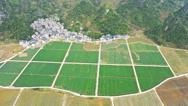 广西富硒林产品（广西富硒农业）-硒宝网