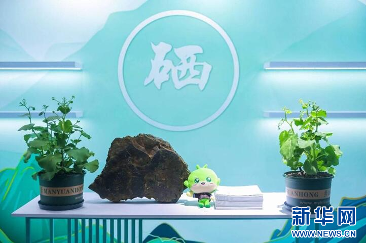 农产品自然富硒(富硒生态农业)-硒宝网