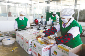 北京富硒农产品（北京富硒农业科学研究院）-硒宝网