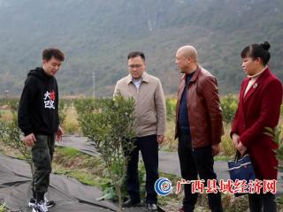 桂林富硒农产品（桂林富硒水源）-硒宝网