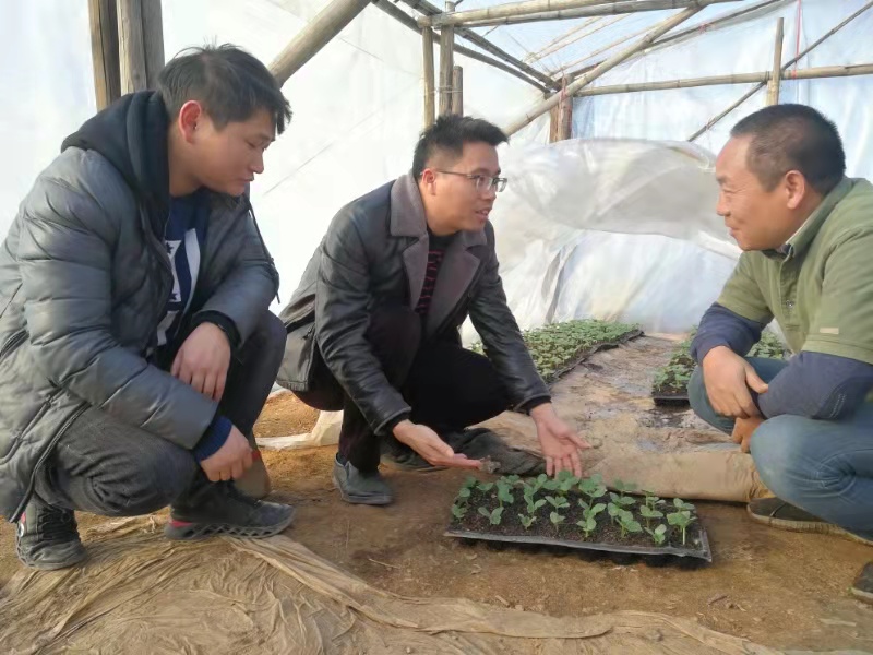 桂林富硒农产品（桂林富硒水源）-硒宝网