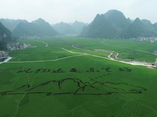 桂林富硒农产品（桂林富硒水源）-硒宝网