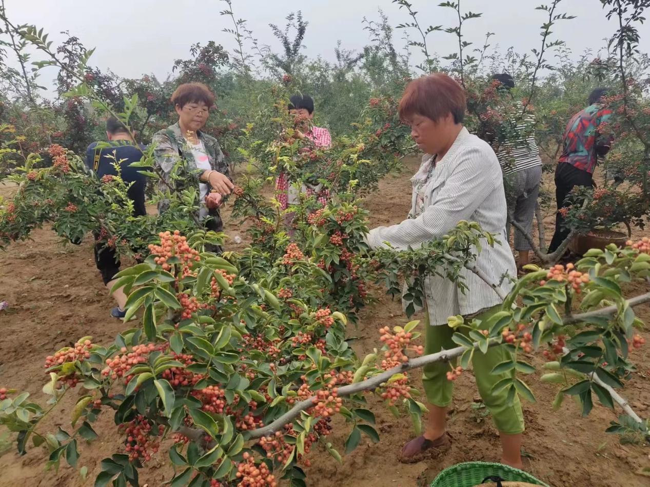 河南省富硒产品（河南富硒地区）-硒宝网