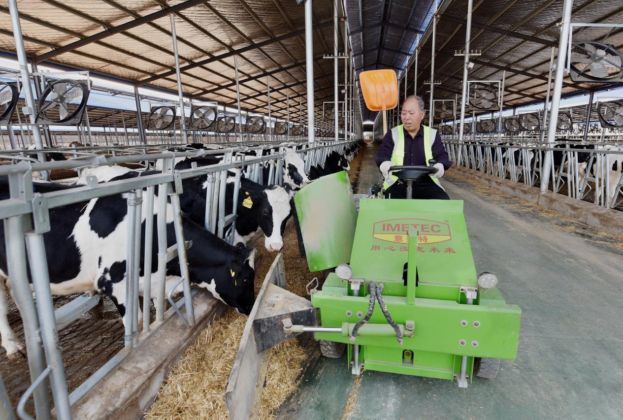 河南省富硒产品（河南富硒地区）-硒宝网