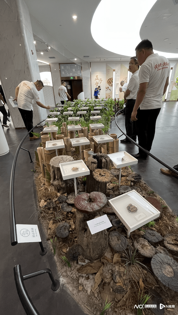 蕉岭富硒农产品（富硒农?。?硒宝网