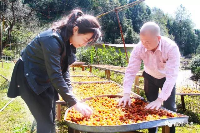 蕉岭富硒农产品(蕉岭富硒茶)-硒宝网