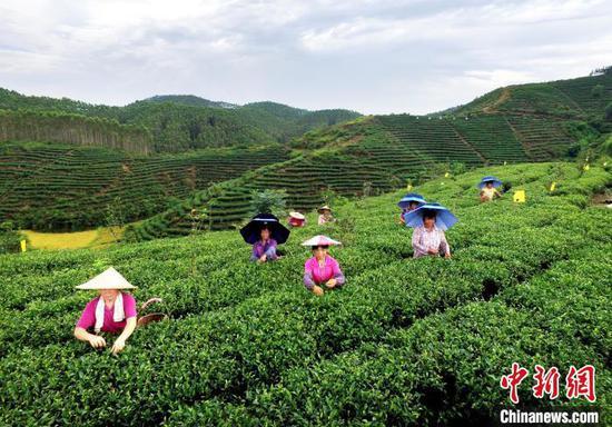 生态富硒农产品（富硒农产品产业链）-硒宝网