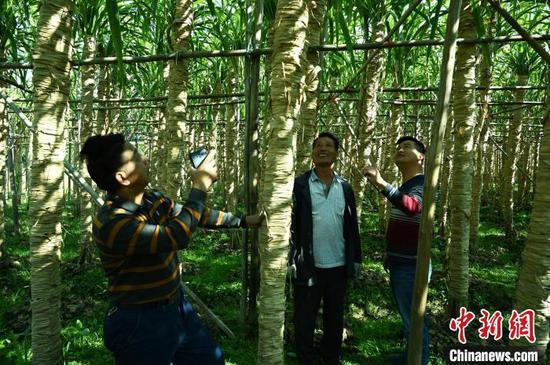 生态富硒农产品（富硒农产品产业链）-硒宝网